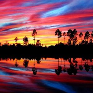 Meet your Posher, Kaitlynn